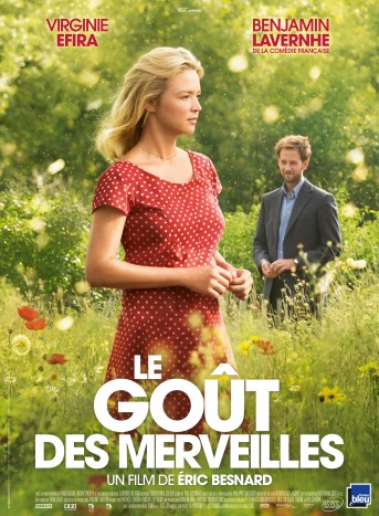 LE-GOUT-DES-MERVEILLES-affiche