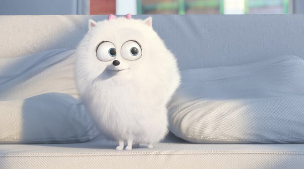 COMME DES BETES PHOTO1