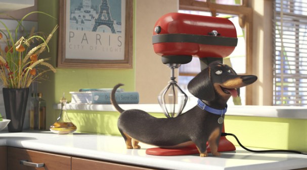 COMME DES BETES PHOTO6