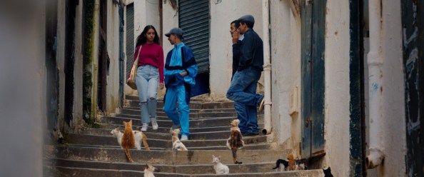 4870500.jpg-r_1920_1080-f_jpg-q_x-xxyxx